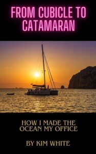 From Cubicle to Catamaran big