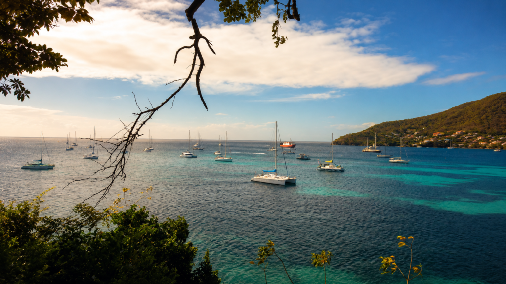 A panoramic view over a Caribbean bay filled with anchored sailboats and catamarans, with turquoise water, a green hillside and scattered houses in the background.